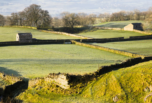 Preview: Light Frost On The Fields Of Wensleydale In The Yorkshire Dales