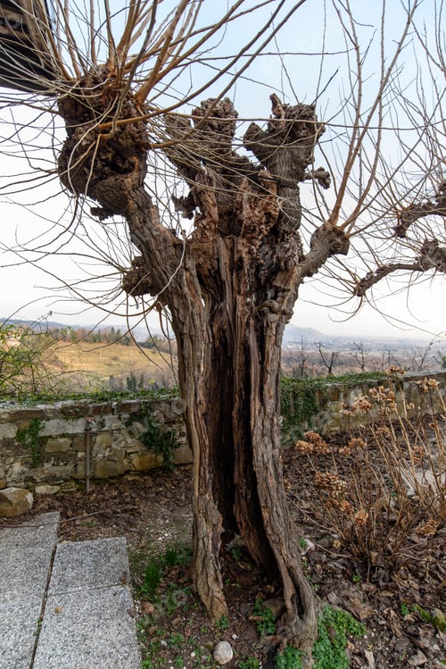 Preview: Rosazzo Abbey Among The Vineyards. Magic Colors At Sunset.