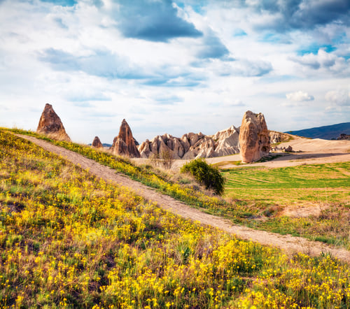 Preview: Bright Spring Scene Of Cappadocia. Stunning Morning View Of Of Red Rose Valley In April. Cavusin