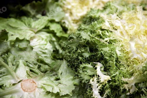 Preview: Greengrocer Lettuce, Vegan Nutritious Food, Vitamins And Fiber