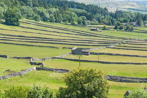Preview: View Of Drystone Walls Down Wharfedale