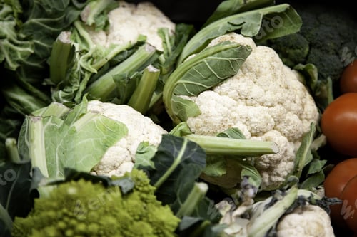 Vorschau: Blumenkohl in Obst- und Gemüsehändlern, in natürlichen Lebensmitteln, in der Landwirtschaft und in Vitaminen