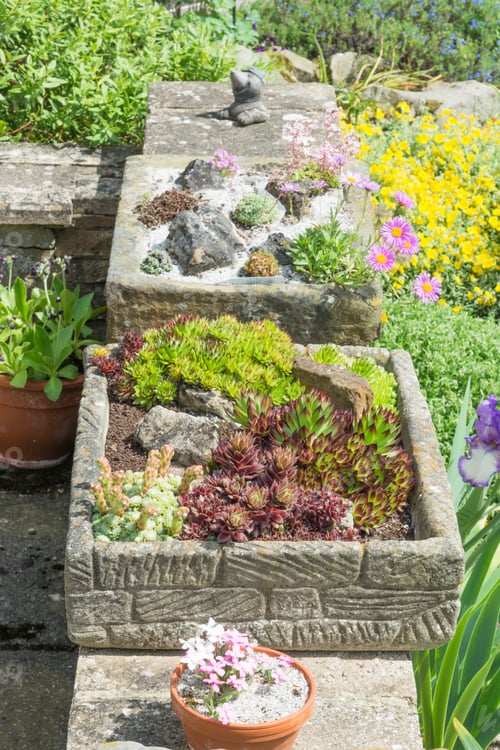 Preview: Stone Garden Sinks Planted With Alpines