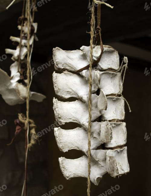 Preview: Goat Skull In Tent Of Campaign India, Animals And Symbols