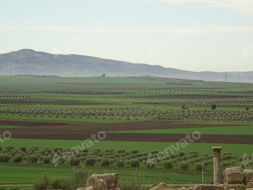 Preview: Volubilis, Morocco