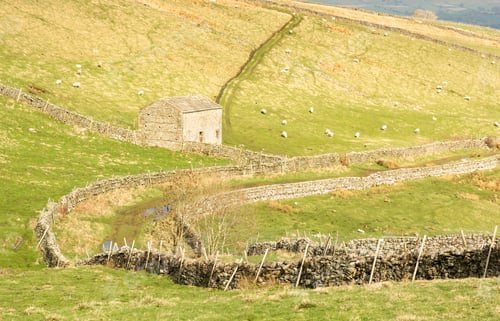 Preview: Yorkshire Dales Barn And Track