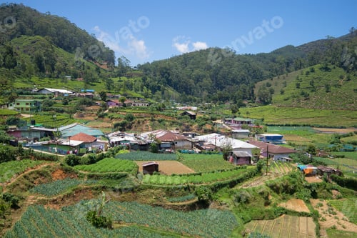 Preview: Sunny Day In The Surroundings Of Nuwara Elia. Sri Lanka
