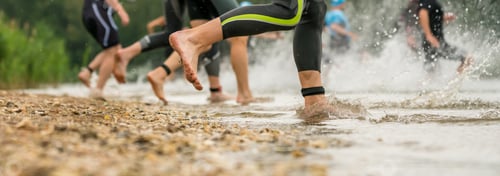Preview: Athletes In Wetsuits Running Into A Lake At A Competition