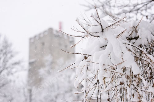 Preview: In The Brunico Woods Under The Snow