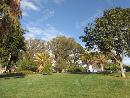 Visualização: São Francisco, Califórnia, EUA