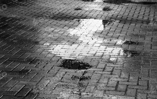 Preview: Wet Street Rain, Climate Change, Texture