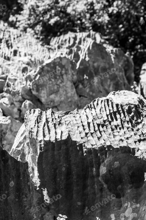 Preview: Gulf Of Trieste. High Cliffs Between Boats, Karst Rocks And Ancient Castles. Black And White