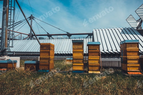 Preview: Typical Bee Hive At Rooftop Over Berlin