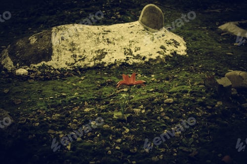 Preview: Cemetery With Tombs In Spain, Religious Symbol