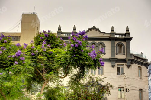 Preview: Miraflores District, Lima, Peru