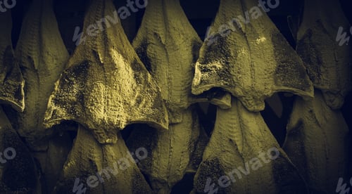 Preview: Salted Cod In Fish, Food And Business