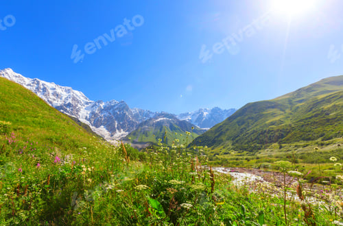 Preview: Mountain Meadow In Sunny Day. Natural Summer Landscape.