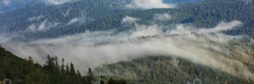 Preview: Beautiful Natural Landscapes In Carpathian Mountains