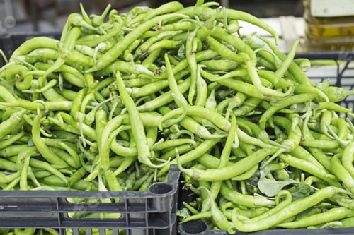 Preview: Green Chillies Feed Market, Agriculture And Food