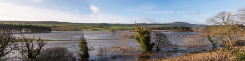 Preview: Flooded River Ure In Wensleydale Panorama