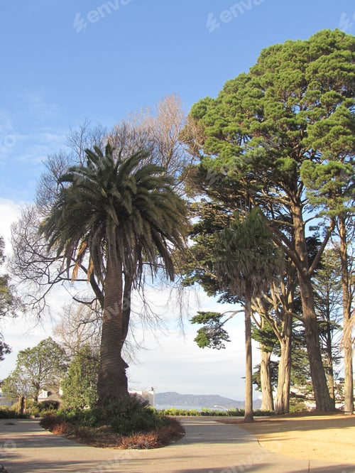 Preview: San Francisco, California, Usa