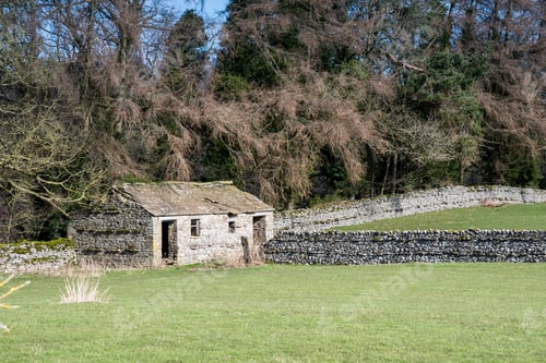 Preview: Small Stone Barn Under The Trees