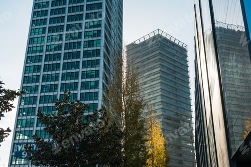 Preview: Modern Architectured Skyscrapers With Trees In The Foreground