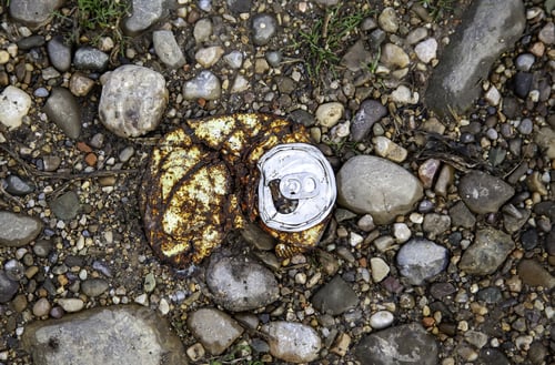 Preview: Rusty Can On Ground, Garbage And Pollution Objects, Environment, Recycling