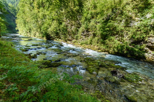 Preview: Vintgar Gorge. Slovenia