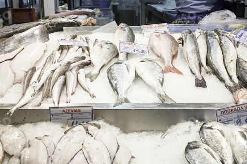 Preview: Fish In Fish Market Counter With Ice, Food