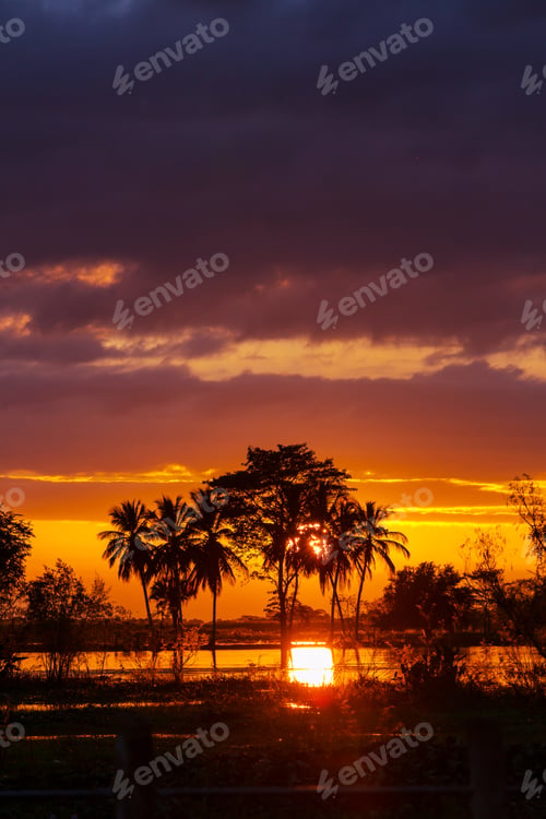 Preview: Fantastic Tropical Sunset In A Rural Landscapes, Mexico