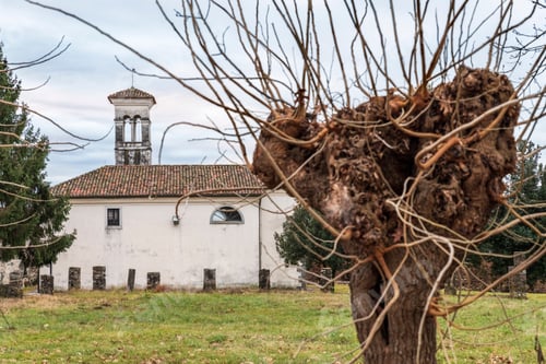 Preview: Castle Of Cassacco In Winter