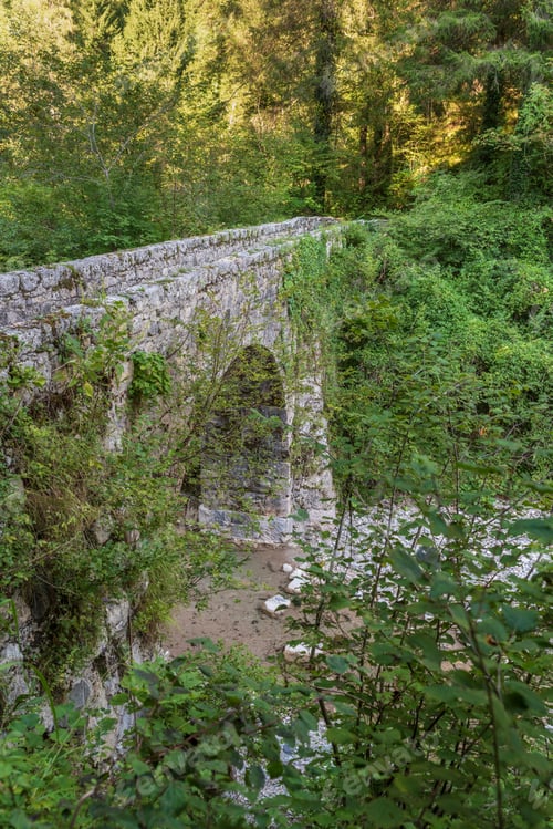 Preview: In The Woods Of Illegio. Carnia, Friuli