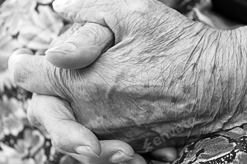 Preview: Old Hands With Wrinkles, Aging And Life