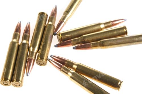 Preview: Hunting Ammunition