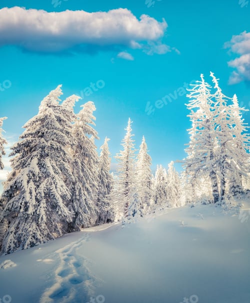 Preview: Fabulous Morning Scene In The Mountain Forest. Bright Winter Landscape In The Snowy Wood, Happy New