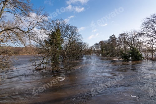 Preview: Trees In A Flooded Wensleydale
