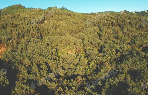 Preview: Aerial View Of Forest In A Mountain. Drone Shot. Sintra Portugal