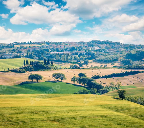 Preview: Wheat Harvest In Tuscany. Typical Countryside Tuscany View. Colorful Summer Of Of Italiy, Europe