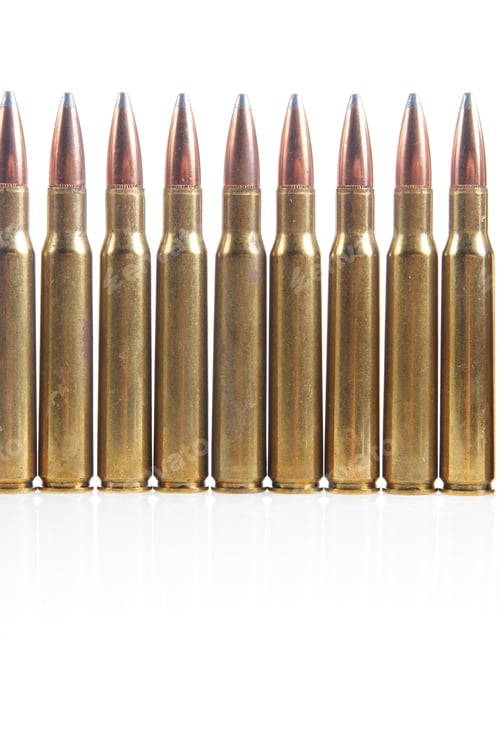 Preview: Hunting Ammunition