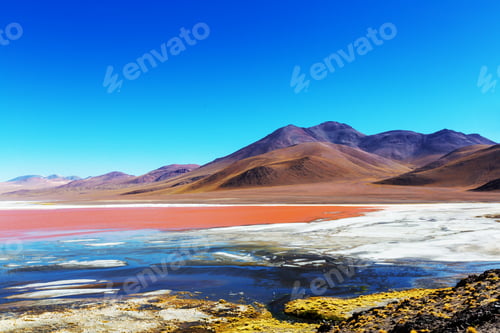 Preview: The Surreal Landscape In South America. Colorful Laguna Colorada On The Plateau Altiplano In
