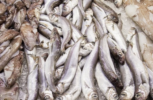 Preview: Sardines And Octopus Fish Shop, Food And Sale