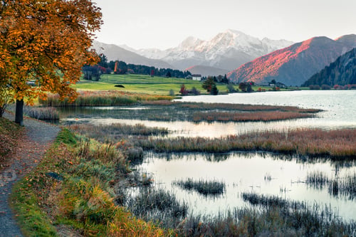 Preview: Beautifu Autumn Scene Of Haidersee (Lago Della Muta) Lake With Ortler Peak On Background. Splendid