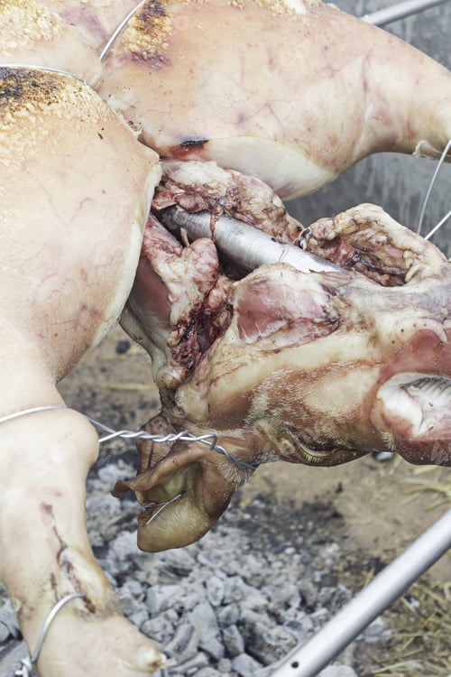 Preview: Pig Roast And Barbecue Roasted Town Celebration