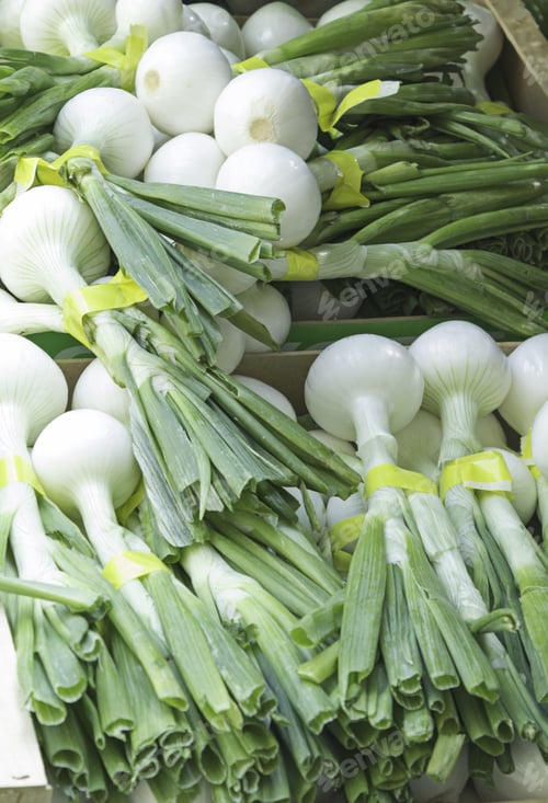Visualização: Onion Heads Feed Market, Agriculture And Food