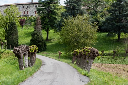 Preview: Castles And Ancient Churches On The Friuli Hills. Journey To Arcano. Udine