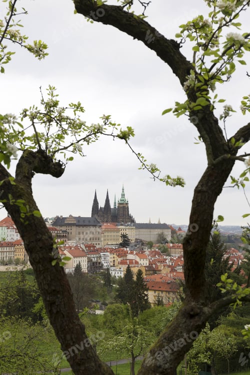 Vista previa: Spring Prague City With Gothic Castle And The Green Nature And Flowering Trees, Czech Republic