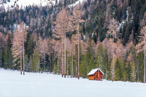 Vista previa: Dolomites. Lake Braies In Winter. Italy