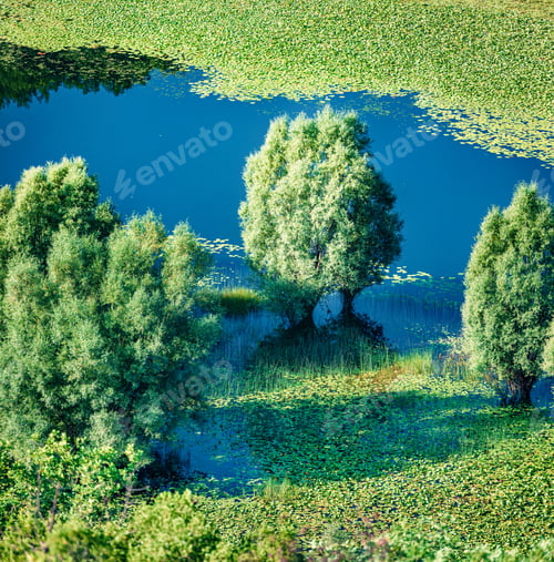 Preview: Aerial View Of Canyon Of Rijeka Crnojevica River, Skadar Lake Lacation. Colorful Summer Scene Of