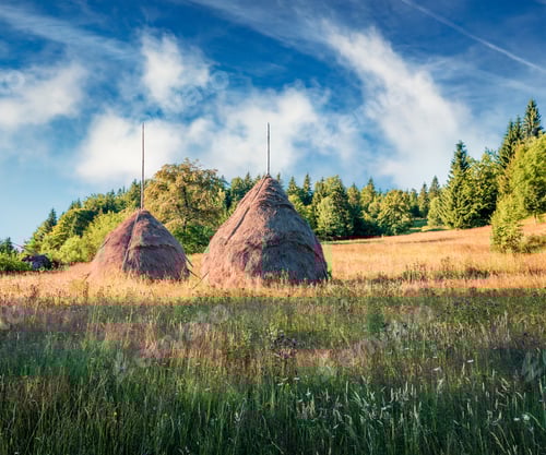 Preview: Picturesque Morning Scene Of Rogojel Village. Picturesque Summer Landscape Of Cluj County, Romania